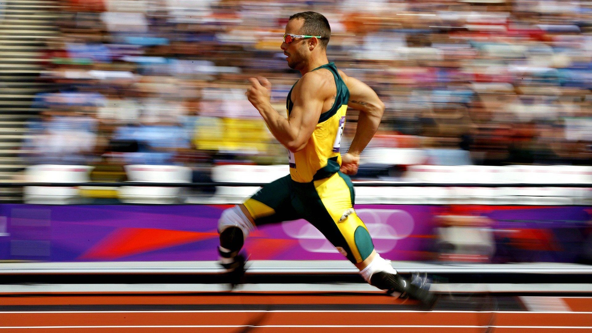 体育世界最新动态